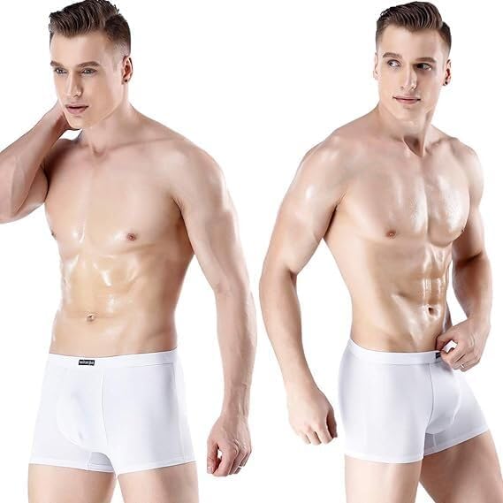 WIRARPA Men's Breathable Modal Microfiber Trunks Underwear