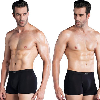 WIRARPA Men's Breathable Modal Microfiber Trunks Underwear